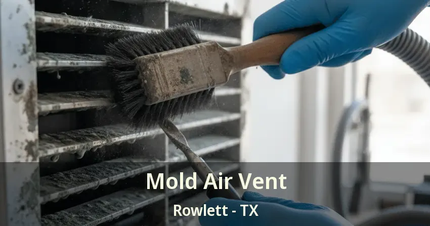 Mold Air Vent Rowlett - TX