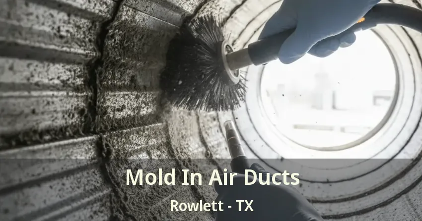 Mold In Air Ducts Rowlett - TX