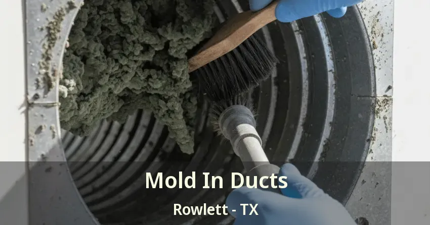 Mold In Ducts Rowlett - TX