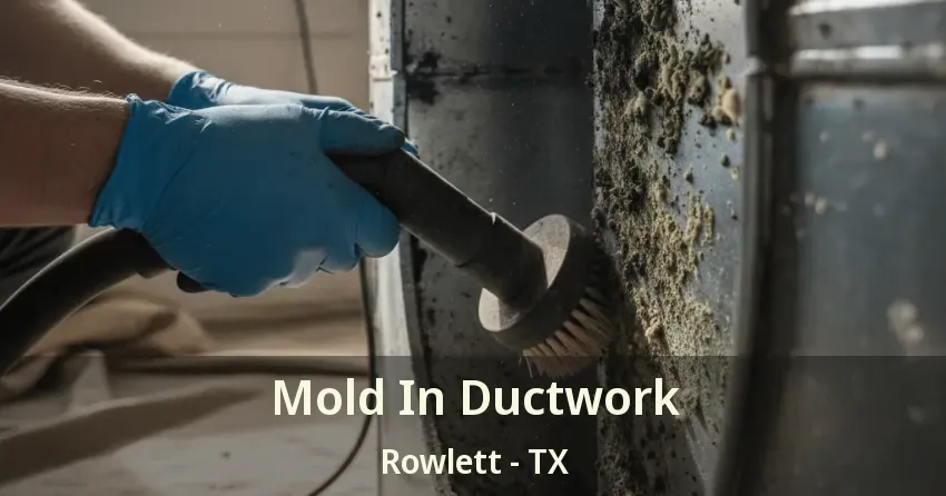 Mold In Ductwork Rowlett - TX