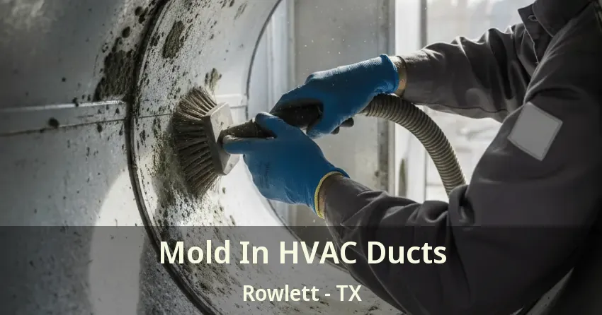 Mold In HVAC Ducts Rowlett - TX